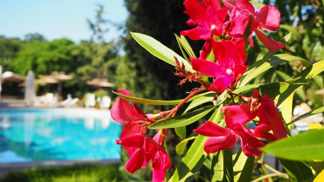 גולדן סנדס Joya Park Apartments מראה חיצוני תמונה